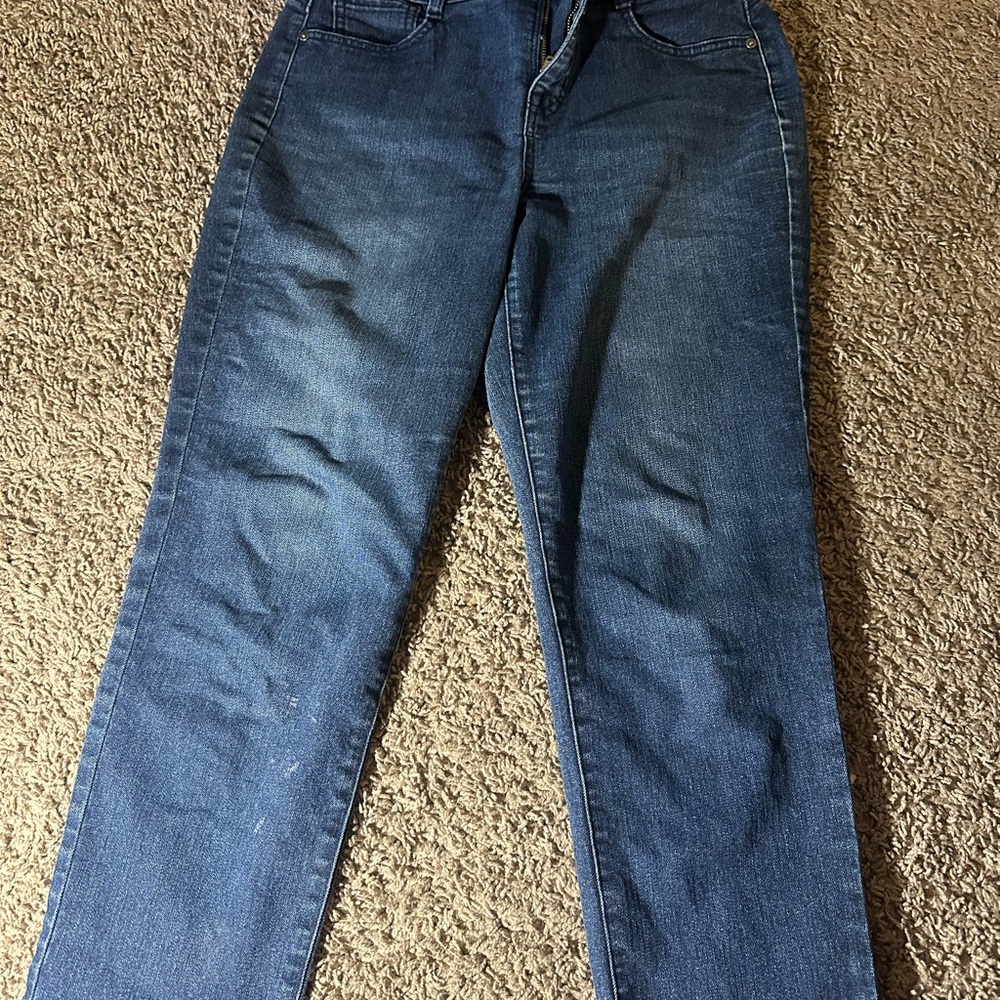 Style & Co Blue Straight Jeans Premium Denim